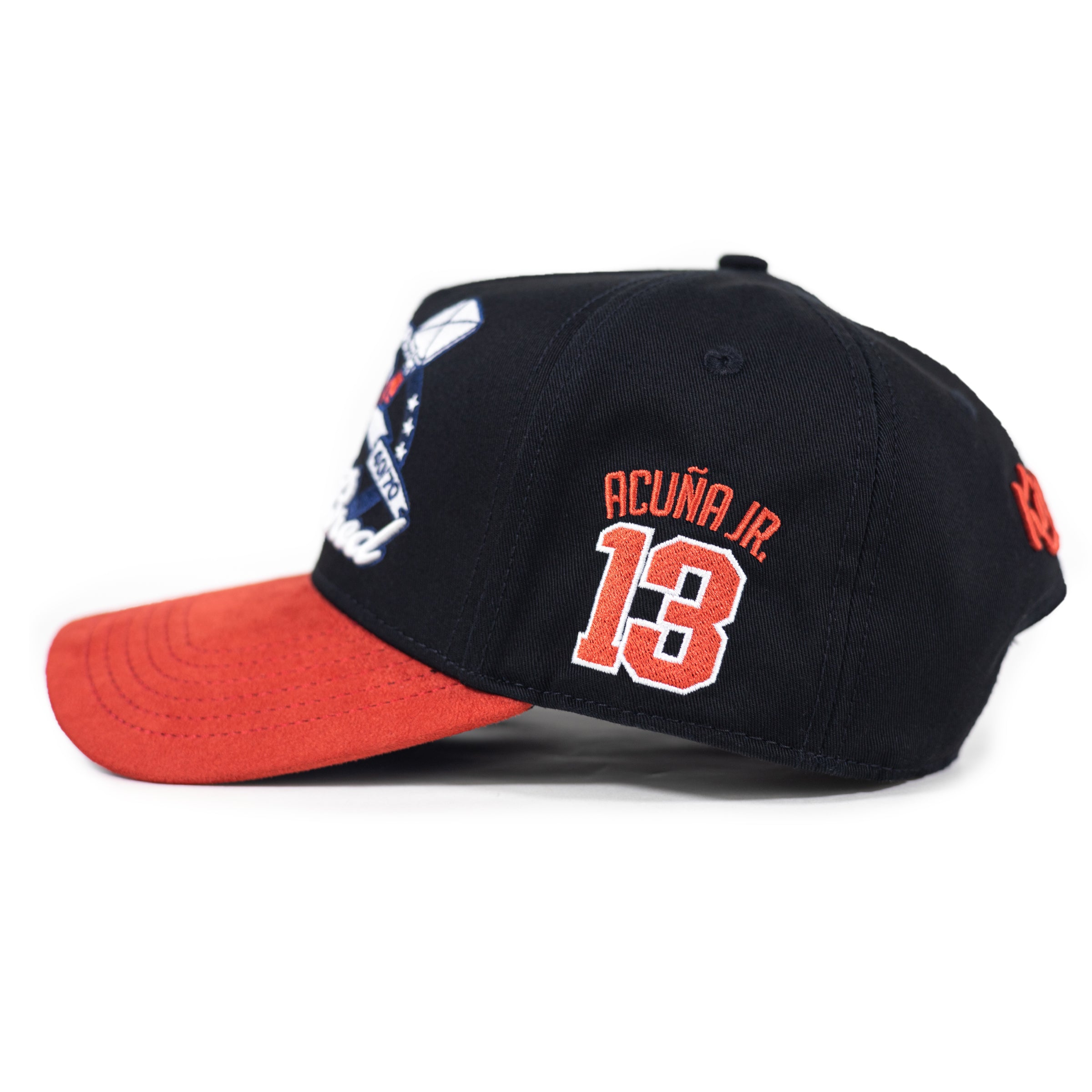 ACUÑA 13